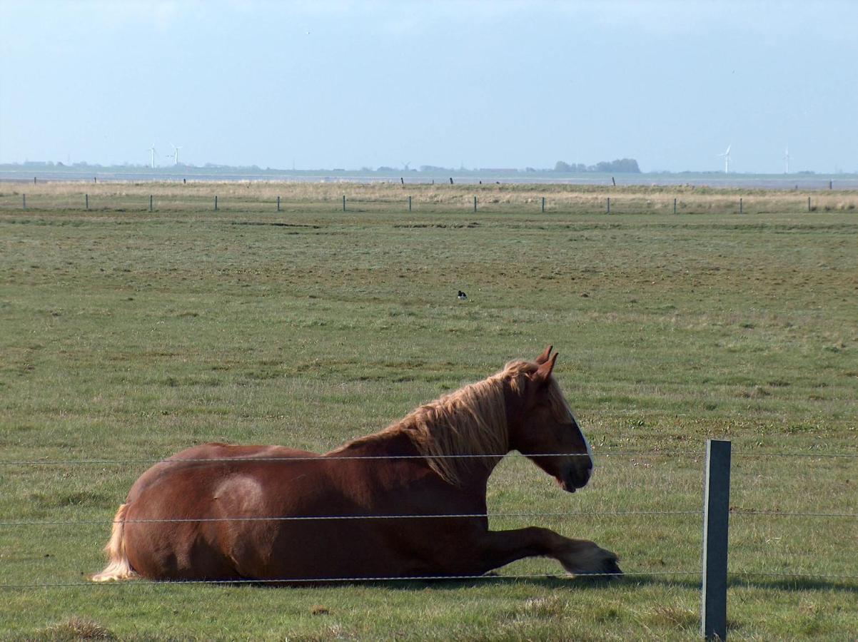 Seevilla Wietjes Whg 3 Baltrum Dış mekan fotoğraf