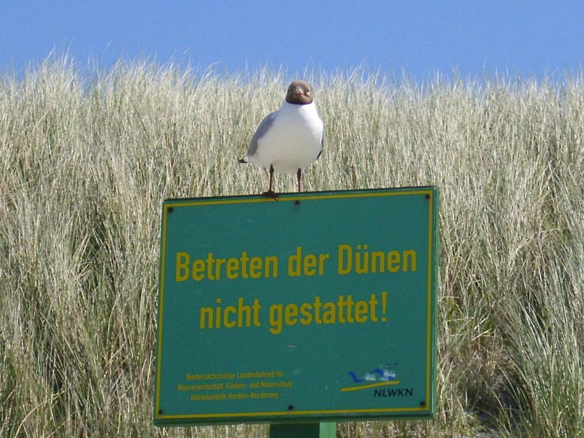Seevilla Wietjes Whg 3 Baltrum Dış mekan fotoğraf